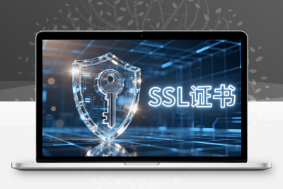 免费可续期 SSL 证书（国内外大厂/知名平台）